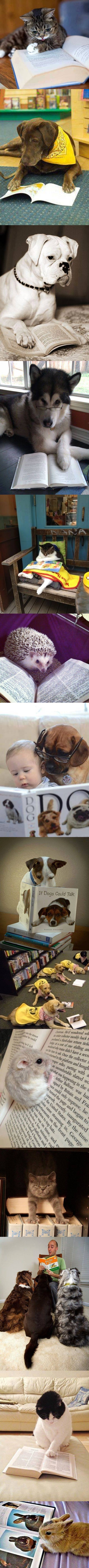 pametne male glavice..:))