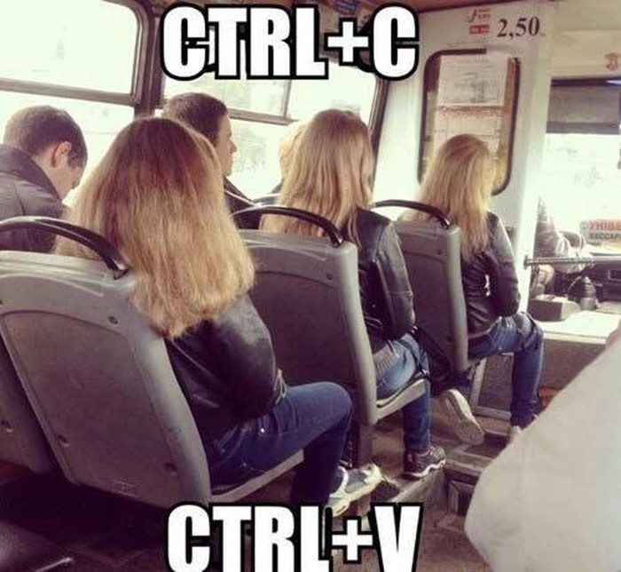 Copy / paste..
