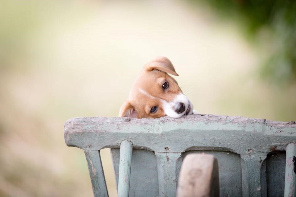 o, da..svi podjednako čekamo taj Petak..