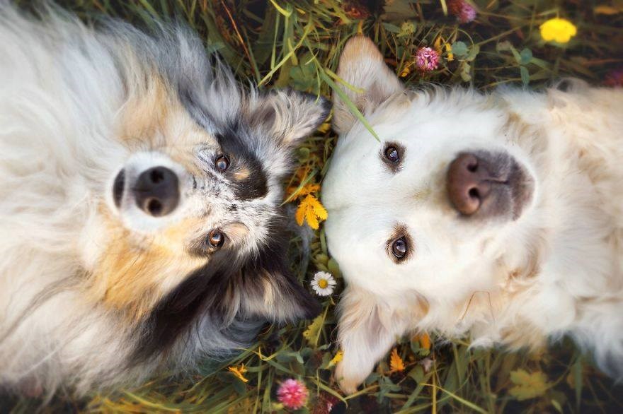 brojanje zvijezda..:))