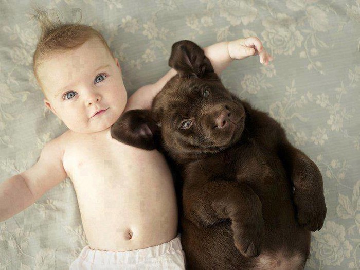 dobro jutro..