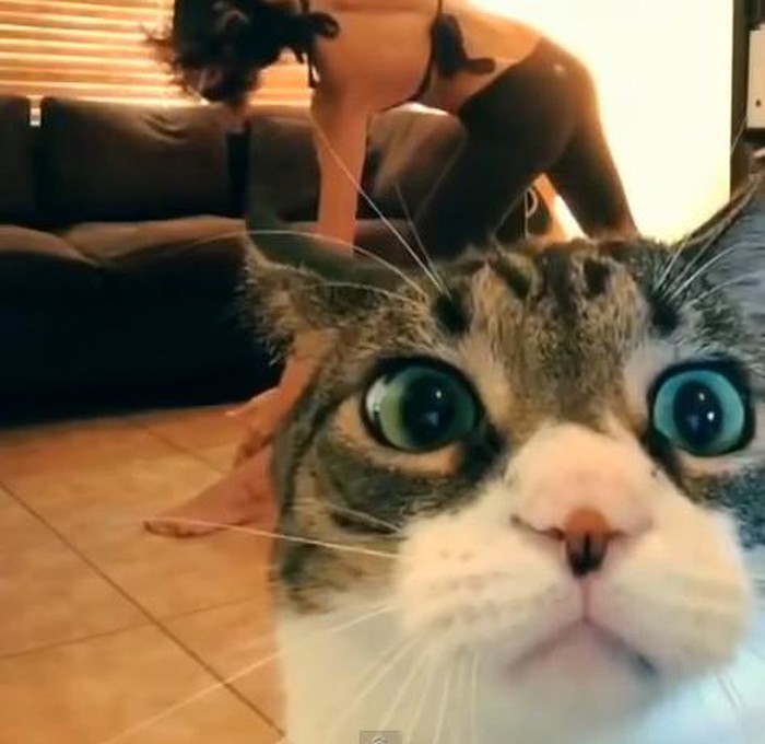 selfie