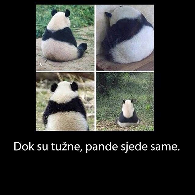 pa eto..ako vidite koju da je usamljena ne glumite stranca..