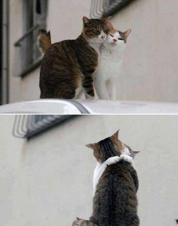 ah, ta ljubav..