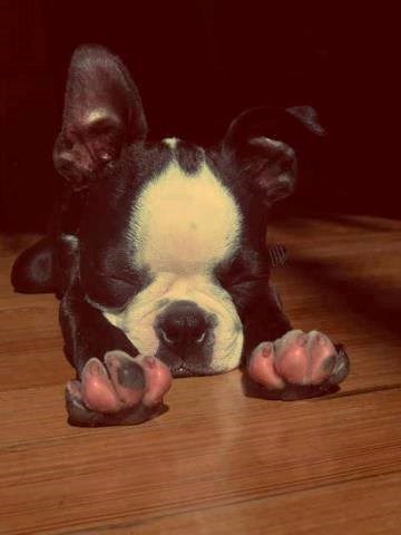 uh..svijet se obogati mojim buđenjem..