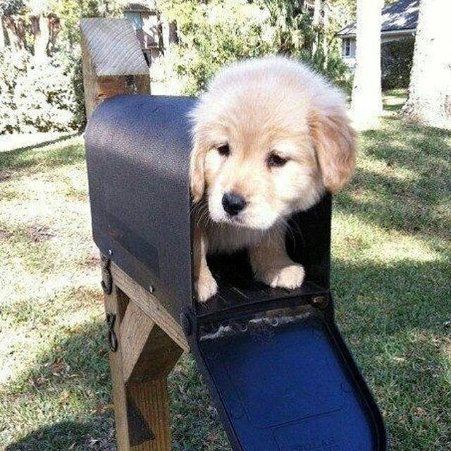 pismo puno ljubavi..:)))