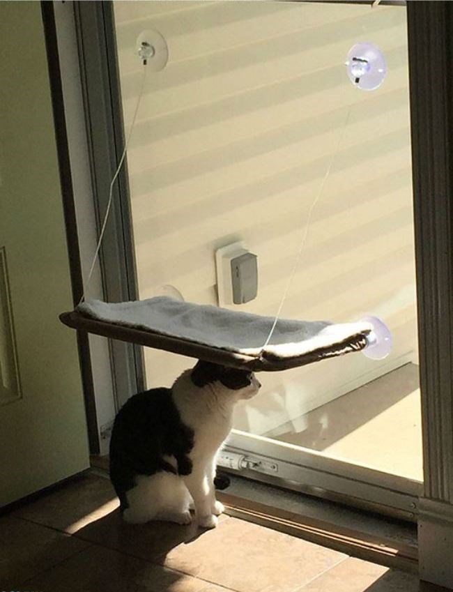 moje je i kako ću to koristiti je moja stvar..:)))