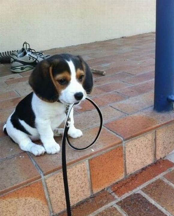 poziv za druženje..