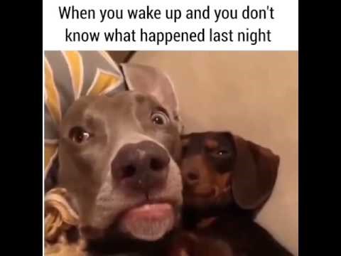 izgubljen u prostoru i vremenu..