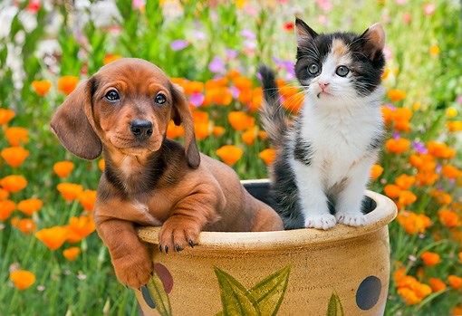 prijateljstvo od malih nogu..