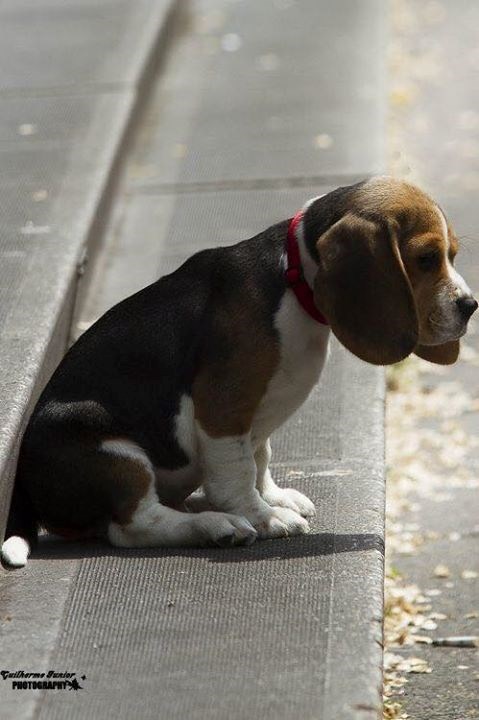 netko nikada ne bi trebao imati osjećaj usamljenosti..:=((