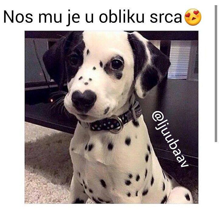 stvoren da voli..:))