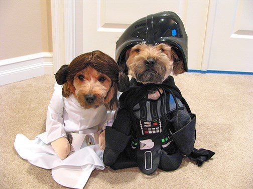 jen..dva..tri..ptičica..