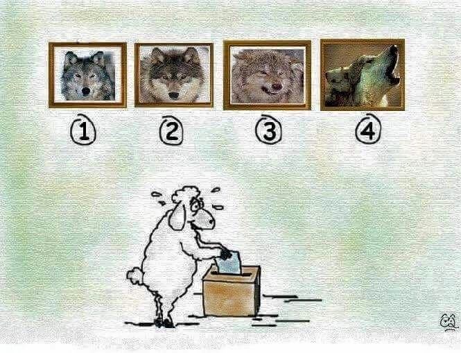 o, da..to je upravo to..