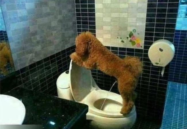 kulturniji od mnogih ljudi..