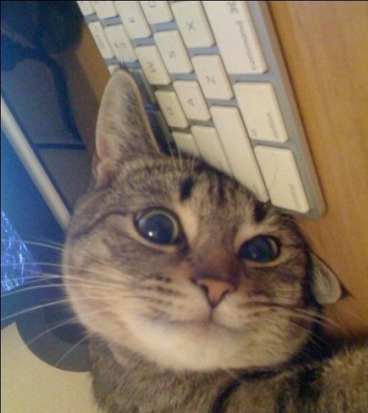 a jel´ može sada malo igre..??