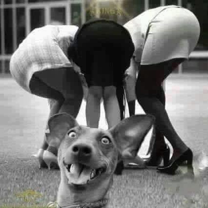 o, da..:)))