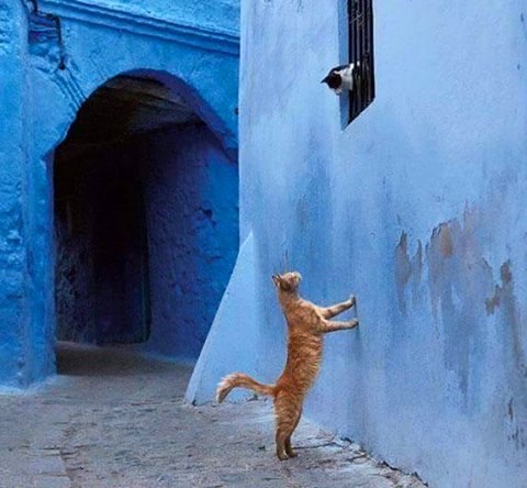 romeo and juliet ..