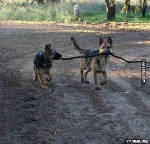 ministar i pomoćnik ministra..:))