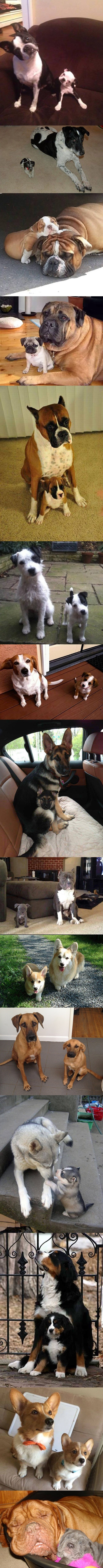 klonovi napadaju..:))