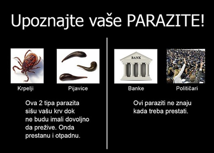 paraziti..