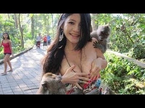 Tko je gazda u dvorištu..