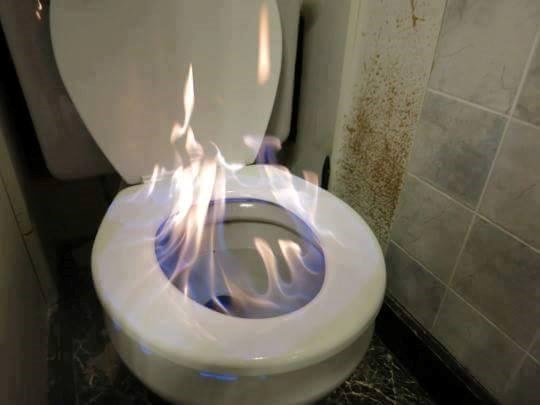 flambirana školjka..prodaje se..