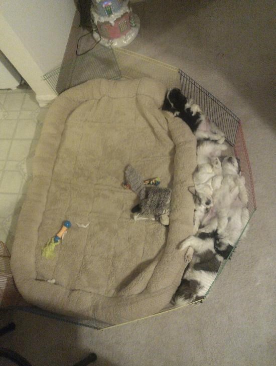 nešto tu ne štima..