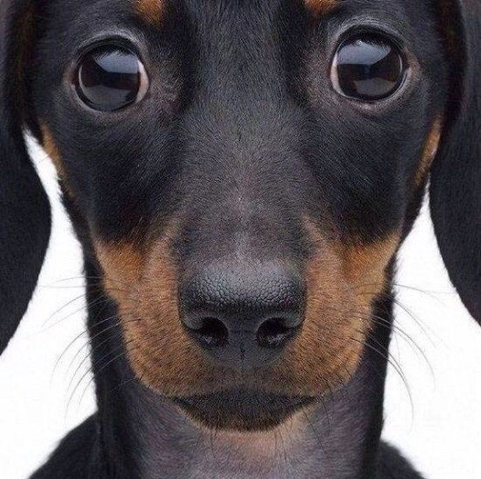 oh.