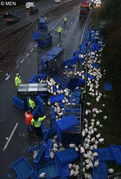 a jaja ni za lijek..