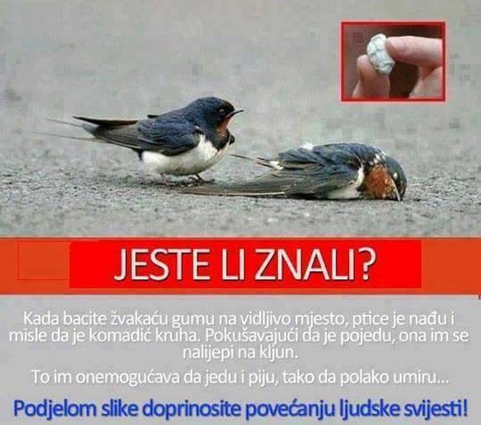 malo obzira..