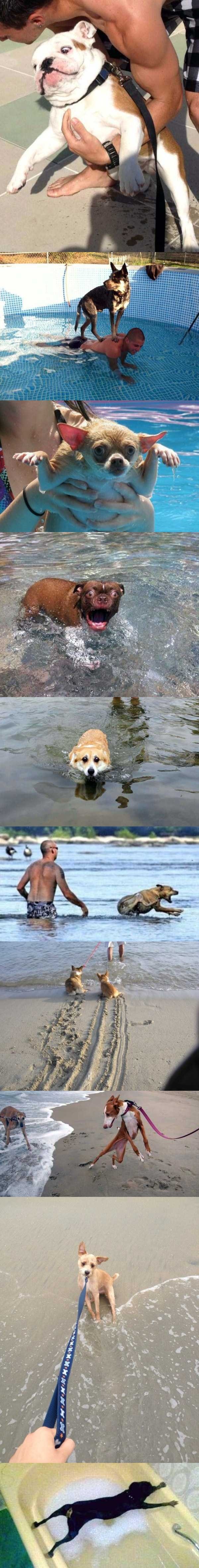 noćna mora zvana - Voda !! :))