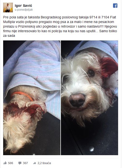 kako reagirati na ovakvo divljaštvo ??