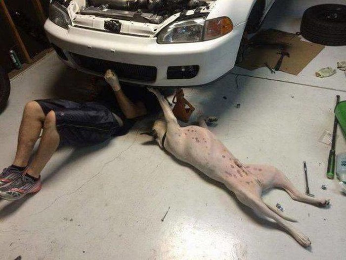 drži malo dok ja stegnem poluosovinu..