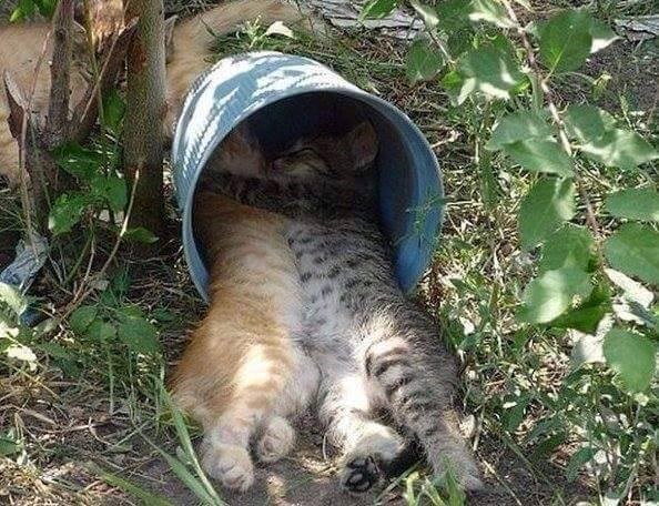 malo odmora u tišini..:))