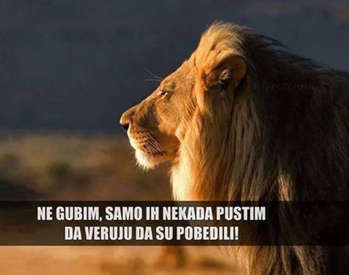zlatna..