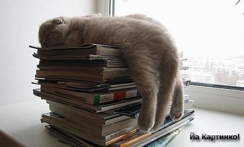 ne spava..upija znanje..