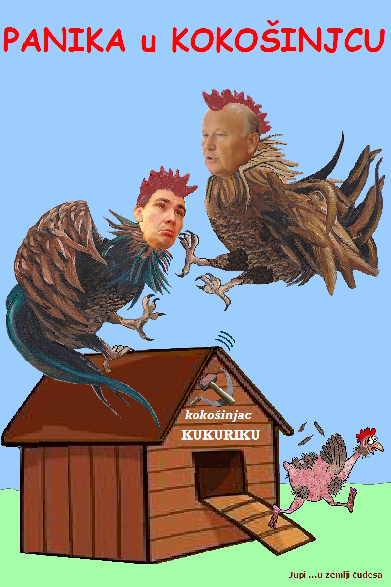 Panika u kokošinjcu