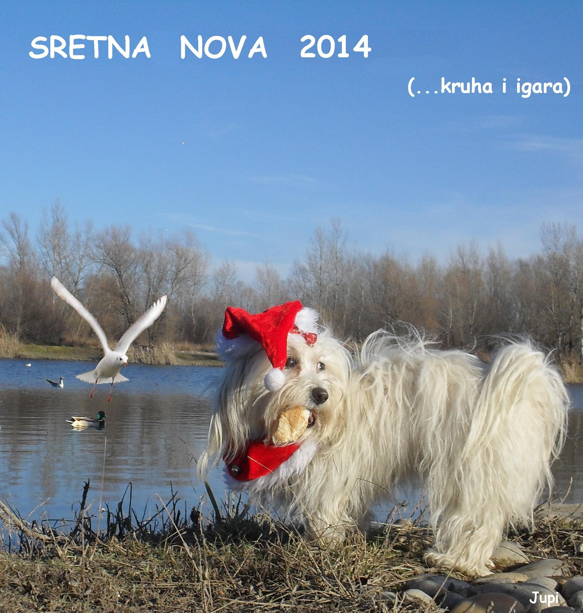 SRETNA NOVA GODINA (kruha i igara!)