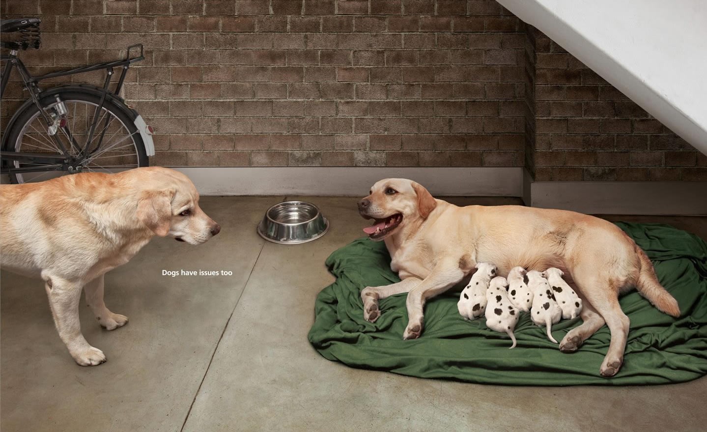 Ženo, imaš pet sekundi, a onda idem po gazdu