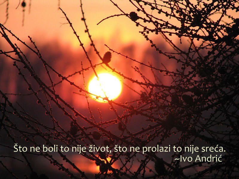 Što ne boli nije život