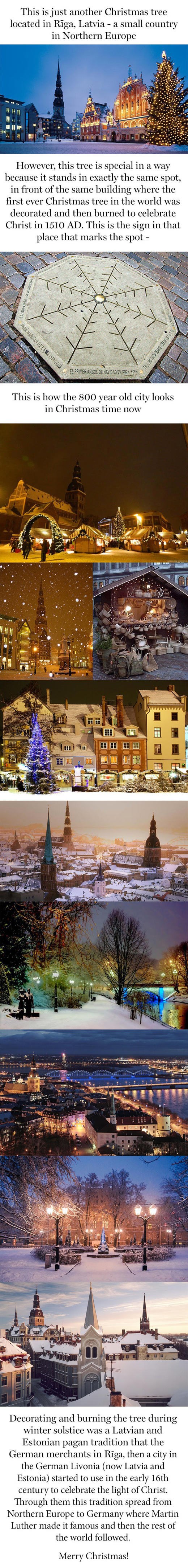 Priča o prvom božićnom drvcu na svijetu