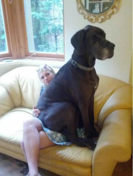 Čuo za doggystyle, nije shvatio