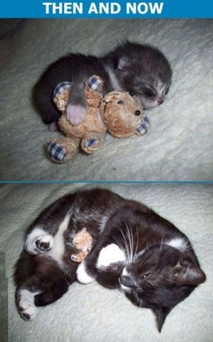 nikad ne zaboravljaš svoje prve igračke:)