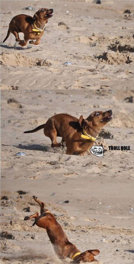 Psić se nažderao pijeska:D