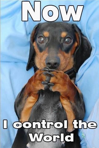 Muahaha, u mojim ste šapama!