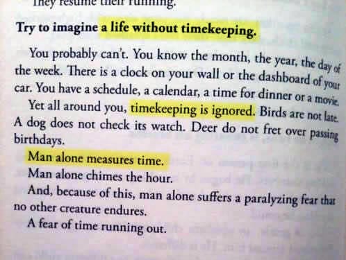 Samo čovjek mjeri vrijeme i pati zbog prolaznosti