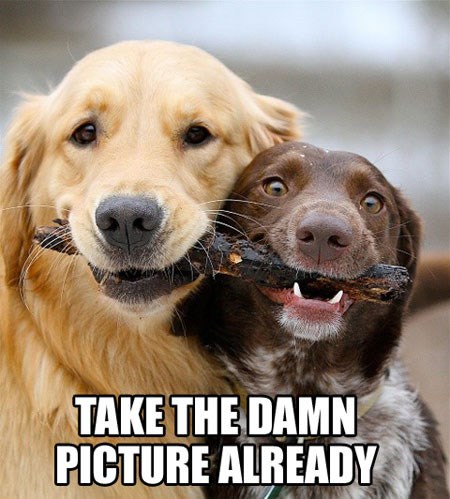 Okini više majkuti!