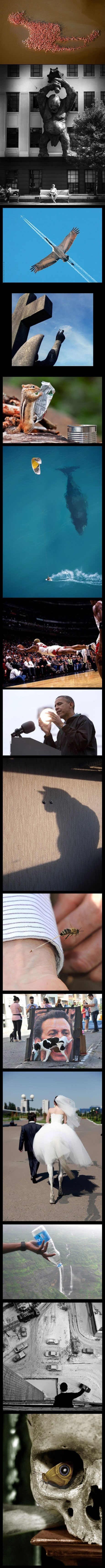 Savršeno uhvaćeni trenuci