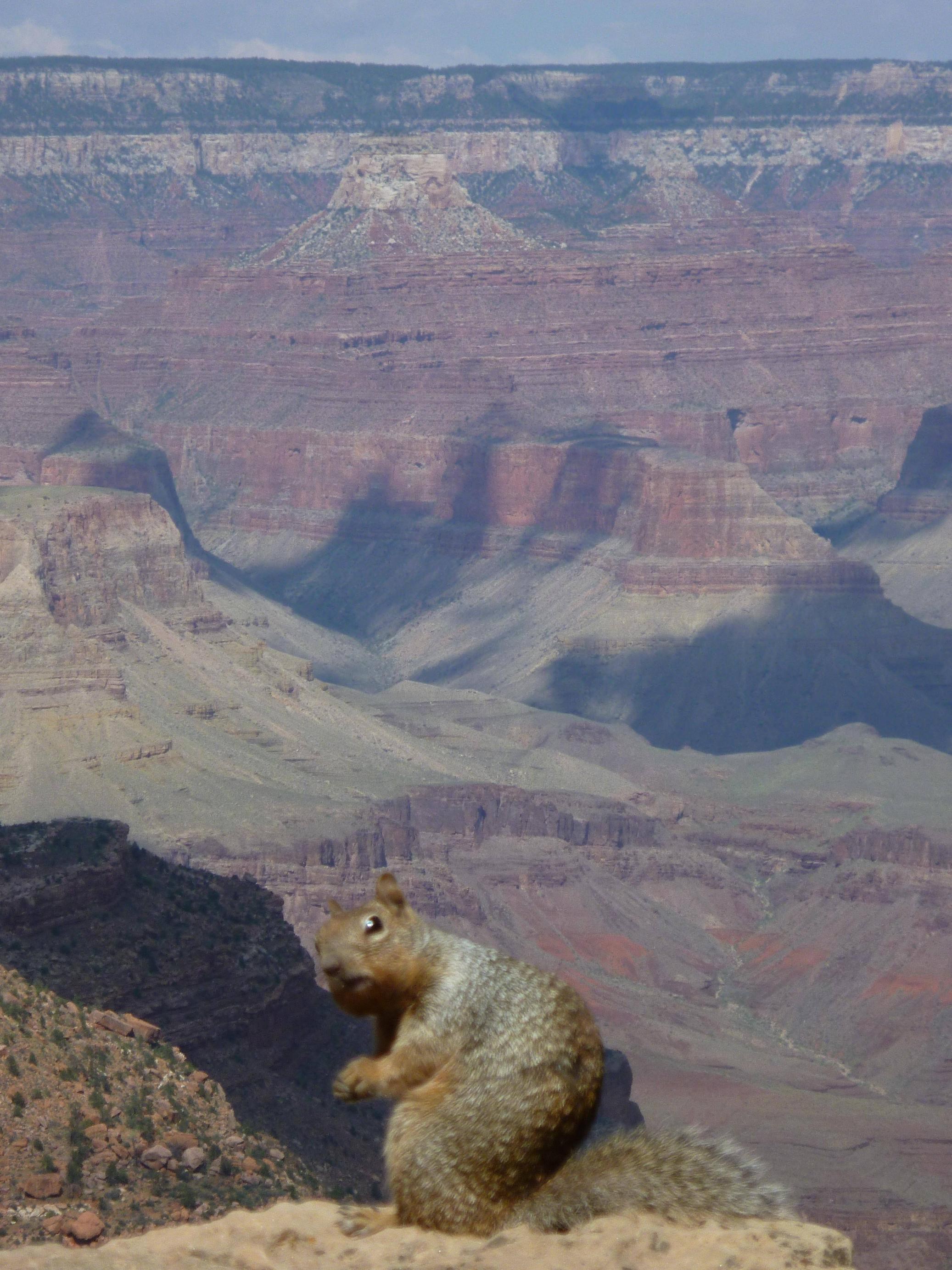 Sve što vidiš je moje, MOJE!